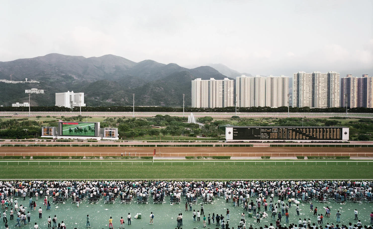 Andreas Gursky's Banded Composition - Horoma's Library - Obsidian